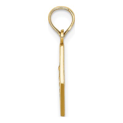 14K Yellow Gold Caduceus Medical Pendant – view 3
