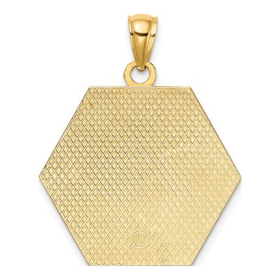 14K Yellow Gold Caduceus Medical Disc Pendant – view 5