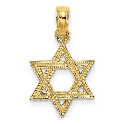 14K Yellow Gold Textured Star of David Charm