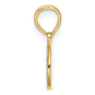 14K Yellow Gold Star of David Circle Charm – view 3