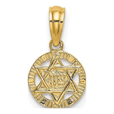 14K Yellow Gold Star of David Circle Charm