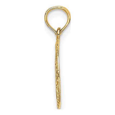 14K Yellow Gold Star of David Circle Charm – view 3
