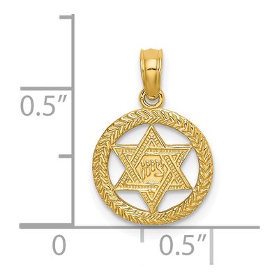 14K Yellow Gold Star of David Circle Charm – view 4