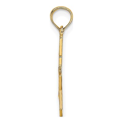 14K Yellow Gold Star of David Cross Charm – view 3