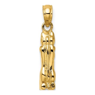 14K Yellow Gold Marco Island Cat Pendant – view 5