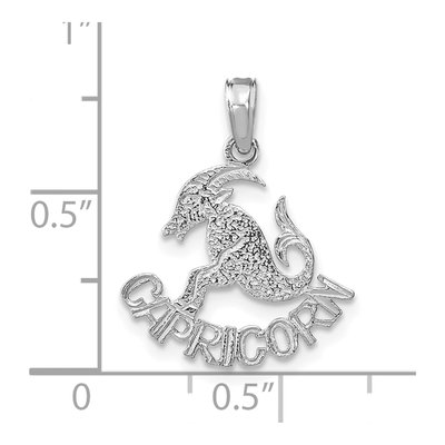 14K White Gold Capricorn Zodiac Pendant – view 3