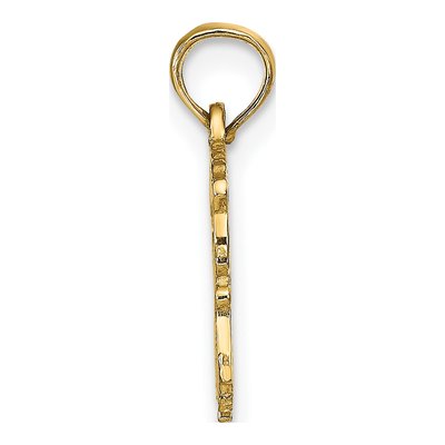 14K Yellow Gold Aquarius Zodiac Pendant – view 3