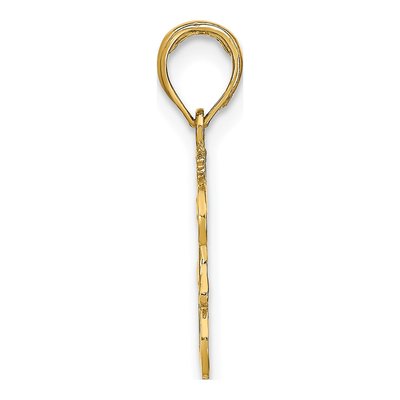 14K Yellow Gold Leo Zodiac Pendant – view 3