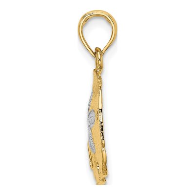 14K Yellow Gold Sand Dollar Charm – view 3