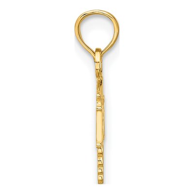 14K Yellow Gold Registered Nurse Caduceus Charm – view 3