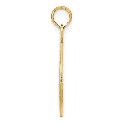 14K Yellow Gold Marco Island Dolphins Pendant – view 3