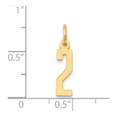 14K Yellow Gold Small Number 2 Pendant – view 5
