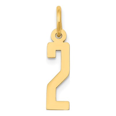 14K Yellow Gold Small Number 2 Pendant