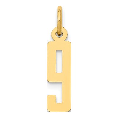 14K Yellow Gold Small Number 9 Pendant