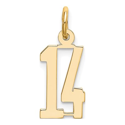 14K Yellow Gold Small Number 14 Charm