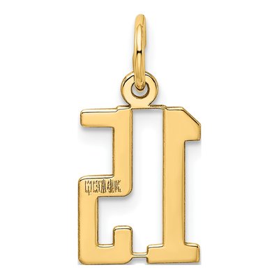 14K Yellow Gold Small Number 15 Pendant – view 4