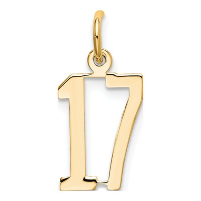 14K White Gold Number 17 Pendant