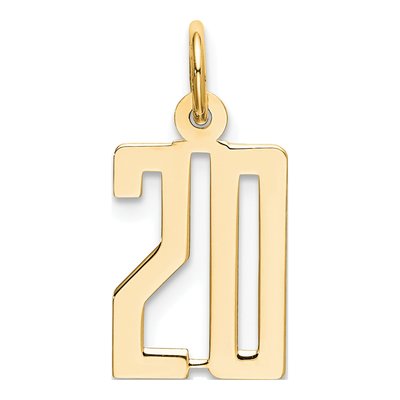 14K Yellow Gold Small Number 20 Pendant