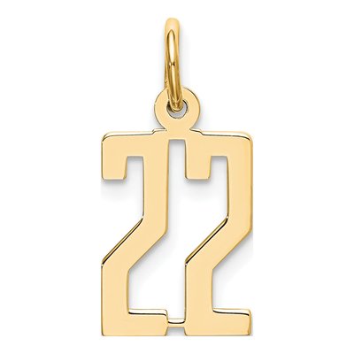14K Yellow Gold Small Number 22 Charm