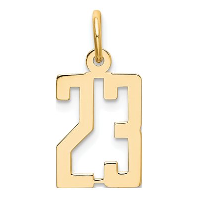 14K Yellow Gold Small Number 23 Charm