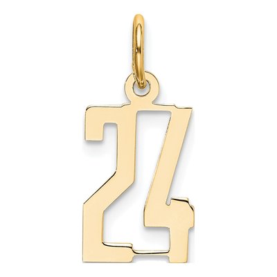 14K Yellow Gold Small Number 24 Charm
