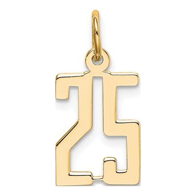 14K Yellow Gold Small Number 25 Charm