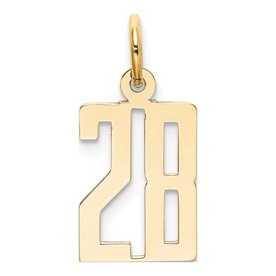 14K Yellow Gold Small Number 28 Charm