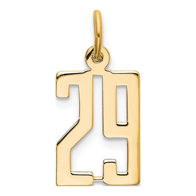 14K Yellow Gold Small Number 29 Pendant
