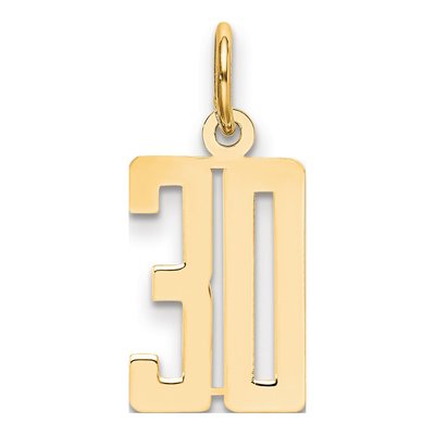 14K Yellow Gold Small Number 30 Charm