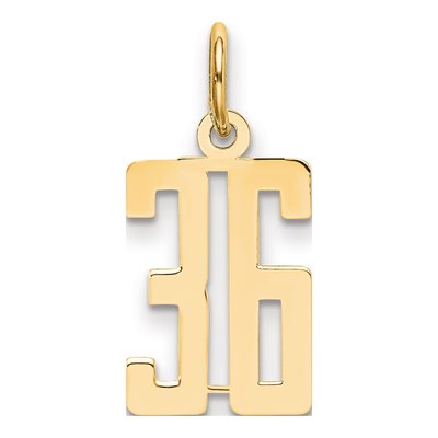 14K Yellow Gold Small Number 36 Charm