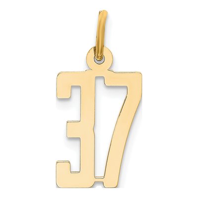 14K Yellow Gold Small Number 37 Pendant