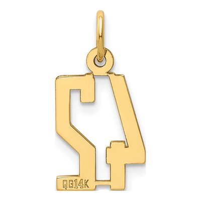 14K Yellow Gold Small Number 42 Pendant – view 4