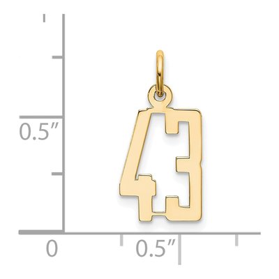 14K Yellow Gold Small Number 43 Pendant – view 4