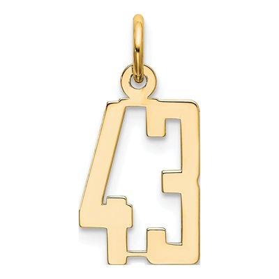 14K Yellow Gold Small Number 43 Pendant