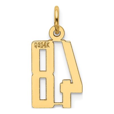14K Yellow Gold Small Number 48 Charm – view 4
