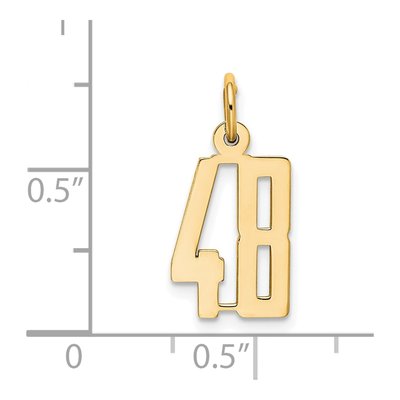 14K Yellow Gold Small Number 48 Charm – view 5