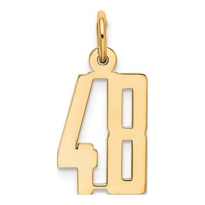 14K Yellow Gold Small Number 48 Charm