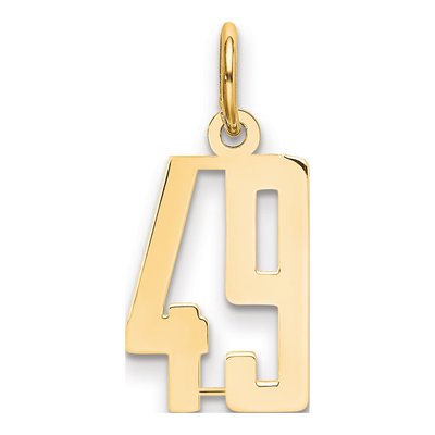 14K Yellow Gold Small Number 49 Charm