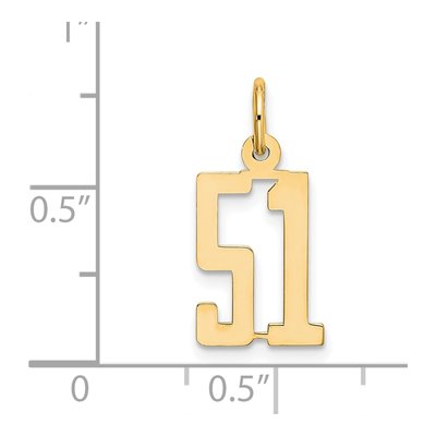 14K Yellow Gold Small Number 51 Charm – view 4