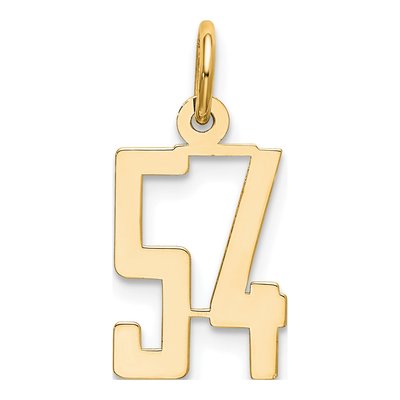 14K White Gold Number 54 Charm
