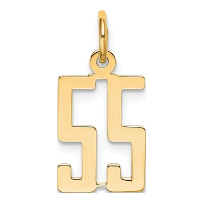 14K Yellow Gold Number 55 Charm