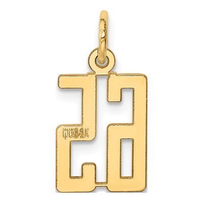 14K Yellow Gold Number 65 Charm – view 3