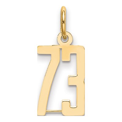 14K Yellow Gold Small Number 73 Charm