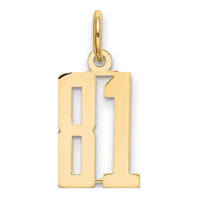 14K Yellow Gold Small Number 81 Charm