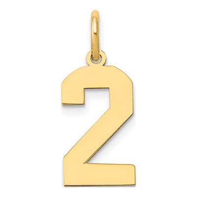 14K Yellow Gold Number 2 Charm