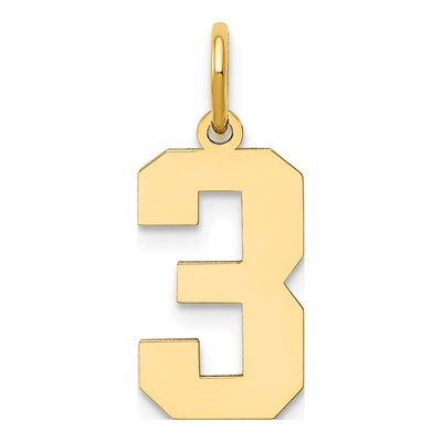 14K Yellow Gold Number 3 Charm