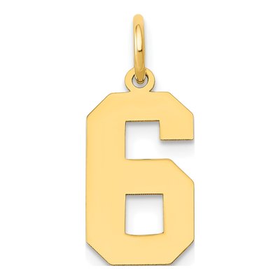 14K Yellow Gold Number 6 Charm