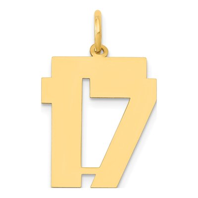 14K Yellow Gold Number 17 Charm