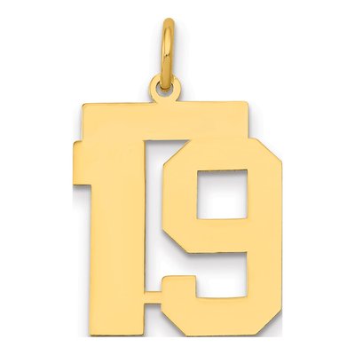 14K Yellow Gold Number 19 Charm