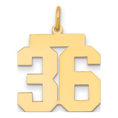 14K Yellow Gold Number 36 Charm